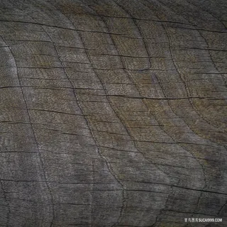高清木头纹理材质贴图素材