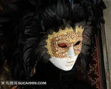 欧式精美羽毛面具素材