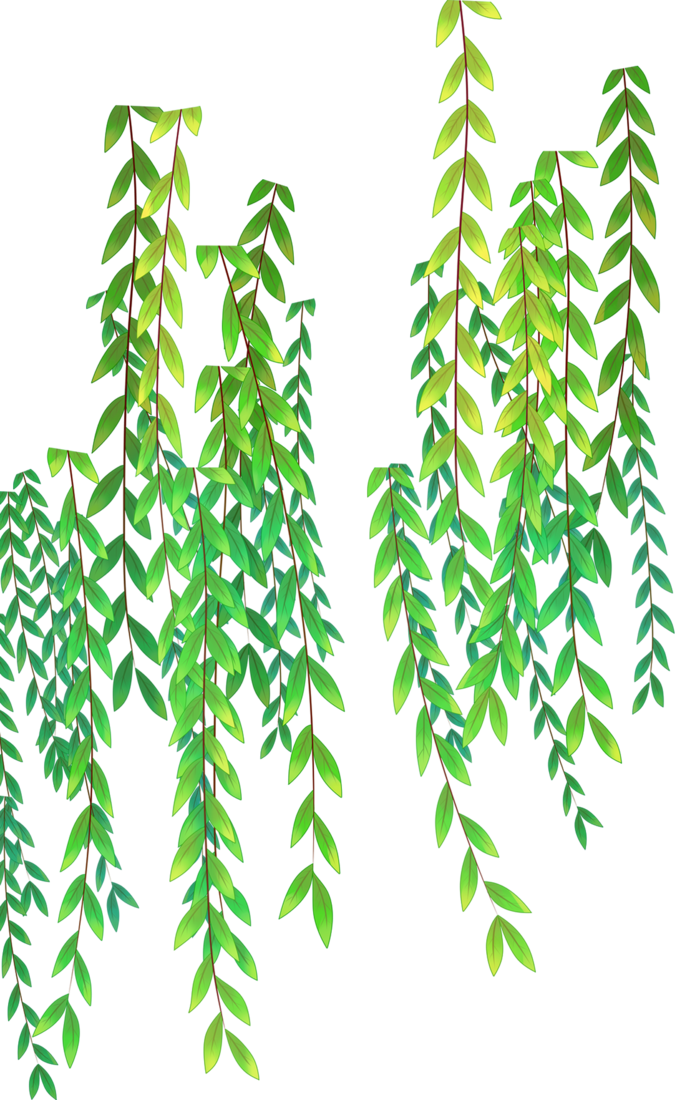 春天绿色春季水墨柳树柳条柳叶春季海报设计PNG免扣素材