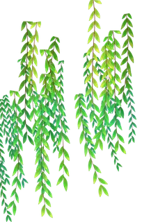 春天绿色春季水墨柳树柳条柳叶春季海报设计PNG免扣素材