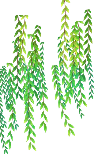 春天绿色春季水墨柳树柳条柳叶春季海报设计PNG免扣素材