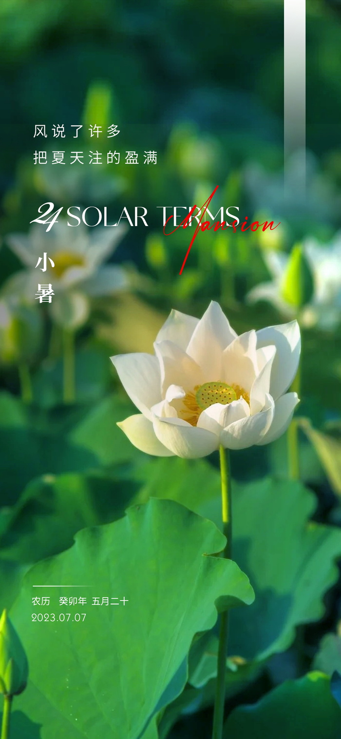 小暑节气海报psd模版下载