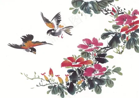 国画花鸟系列图片素材