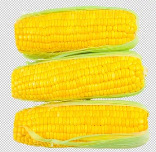 免抠玉米图