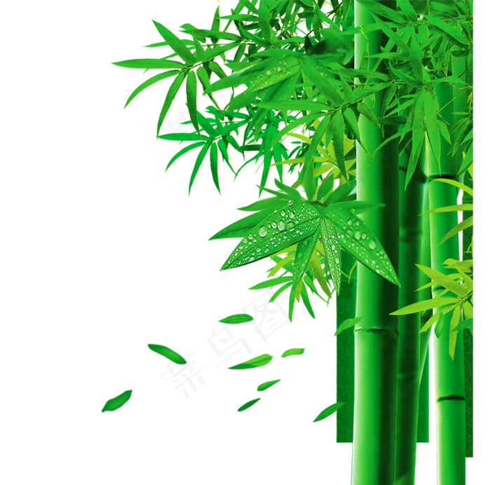 PNG 绿色竹子