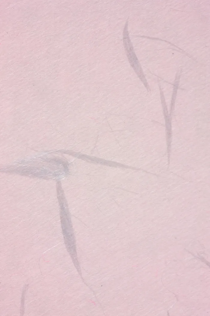 复古信封花纹图片背景素材PNG (9)