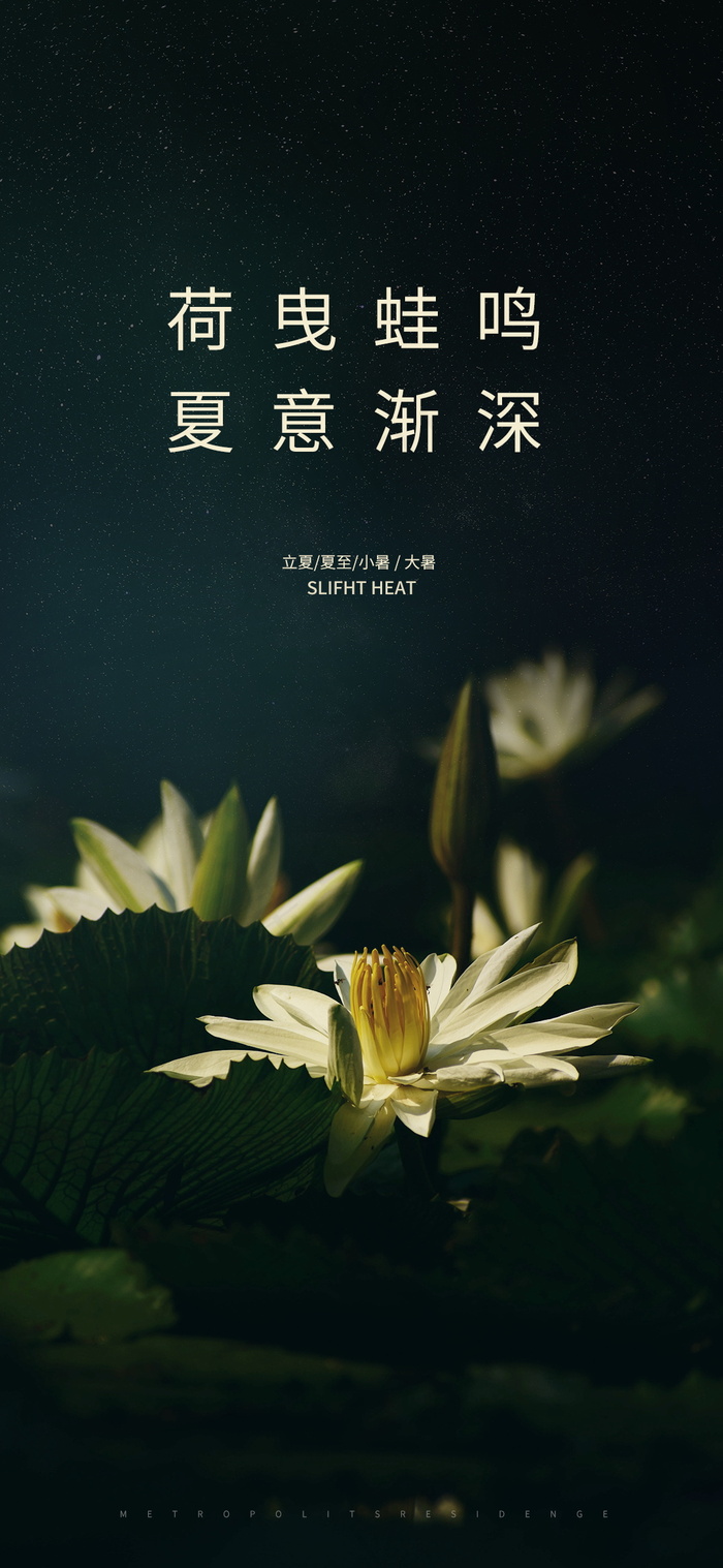 简约质感小暑节气海报psd模版下载