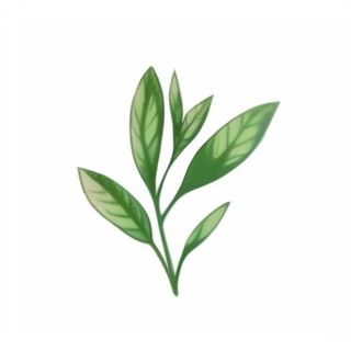 一支绿色的叶子png免抠