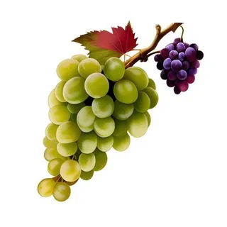 葡萄水果免抠