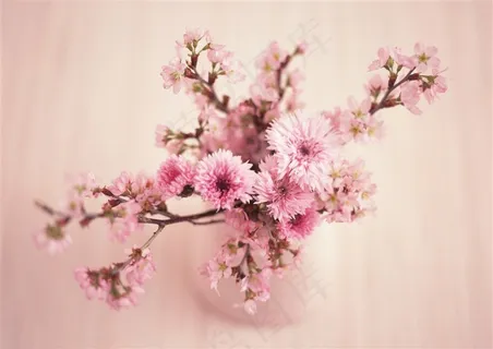 明亮动人浪漫粉色小花简约家居室内插花装饰品图片素材 明亮动人浪漫粉色小花简约家居室内插花装饰品图片素材