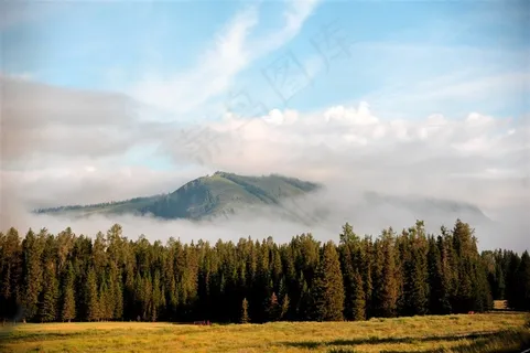 山上的绿色森林高清摄影素材图片 山上的绿色森林高清摄影素材图片