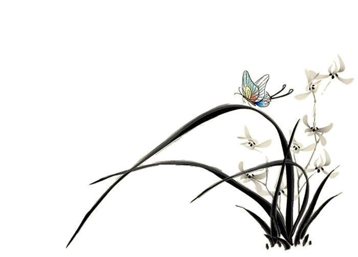 中国古风元素兰花