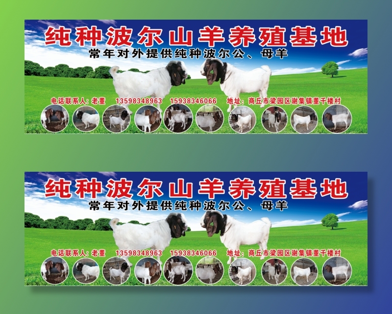 波尔山羊150 350喷绘psd模版下载