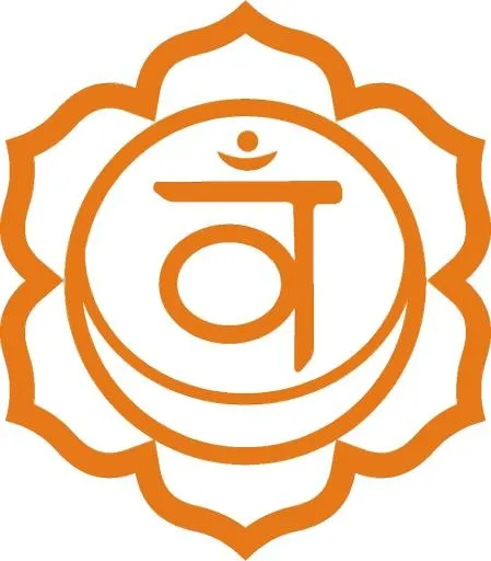 骶脉轮 PNG免抠(934x1064)