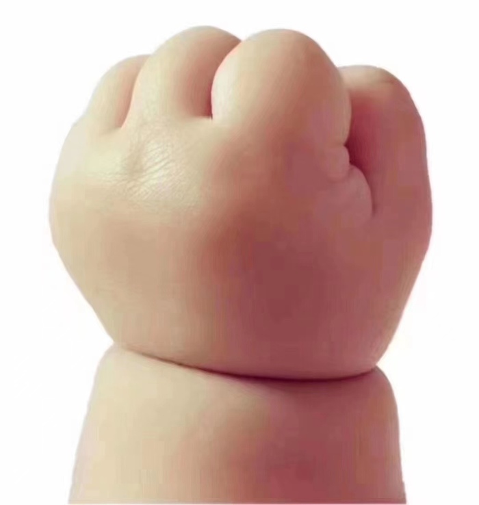 肉嘟嘟的小拳头，努力向上的乐观态度