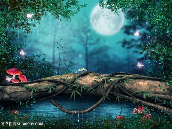 雨林树林图片素材