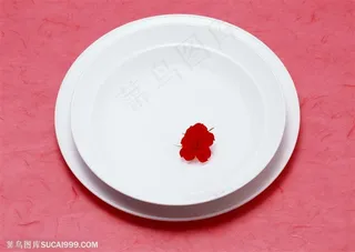 新婚物语-盆中的一朵小花