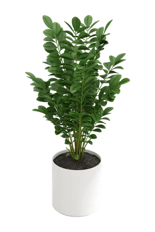 树木树枝树叶免扣素材