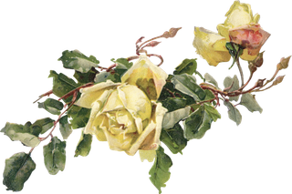 古典花卉png免扣素材