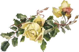 古典花卉png免扣素材