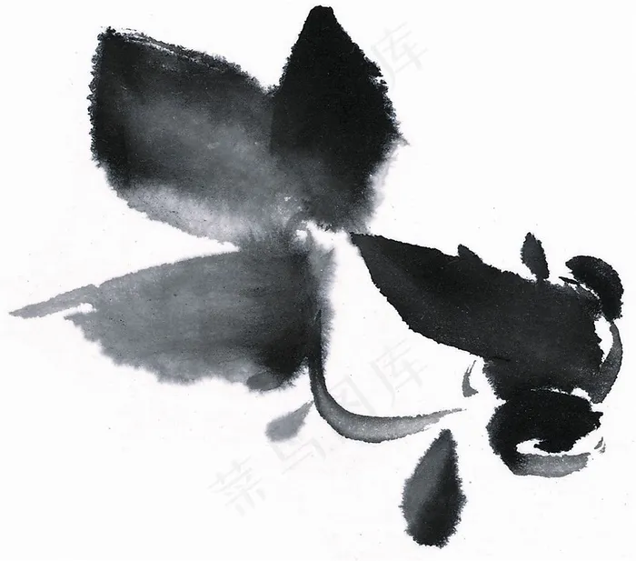 鱼虾蟹龟绘画jpg素材