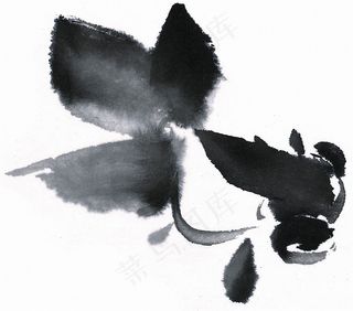 鱼虾蟹龟绘画jpg素材