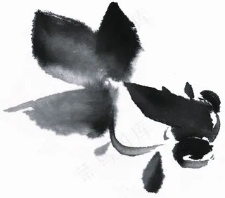 鱼虾蟹龟绘画jpg素材