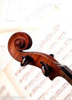 乐器小提琴- 琴头侧面特写