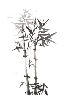 竹子水墨画中国风国画墨水书法竹子画