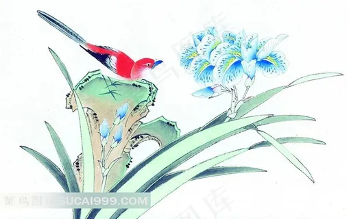 高清工笔画小鸟与兰花