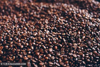 大量的咖啡豆背景图片