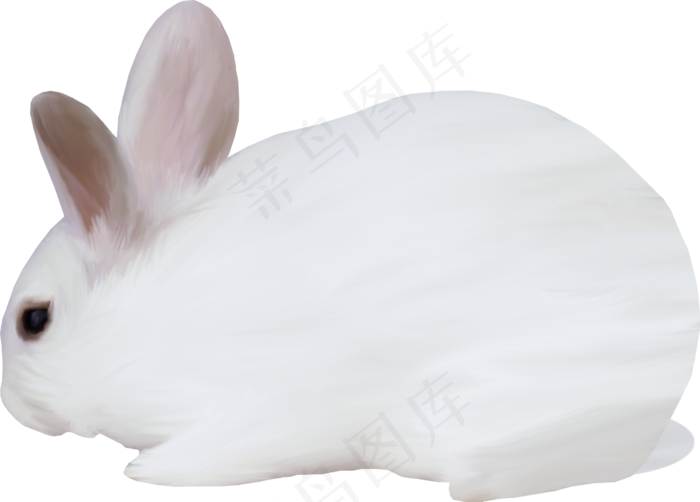 免抠小白兔