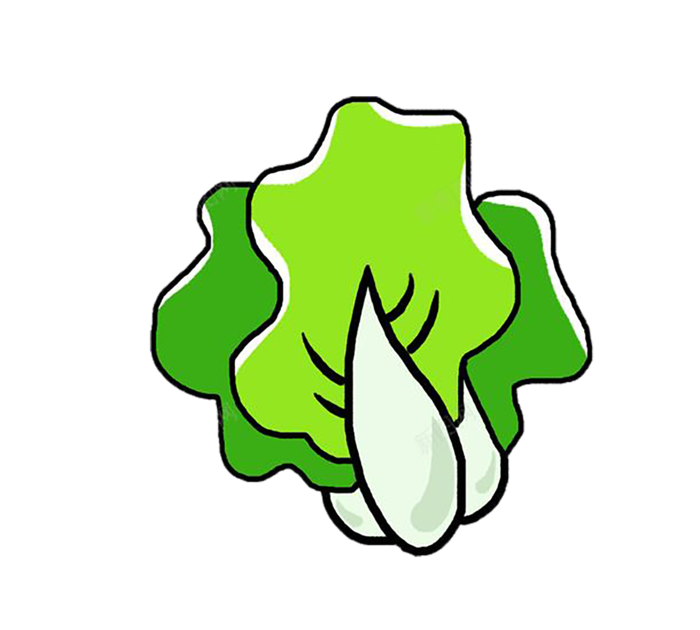 卡通菠菜青菜