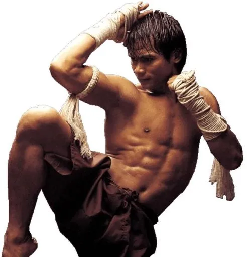 泰拳 PNG免抠(667x694)