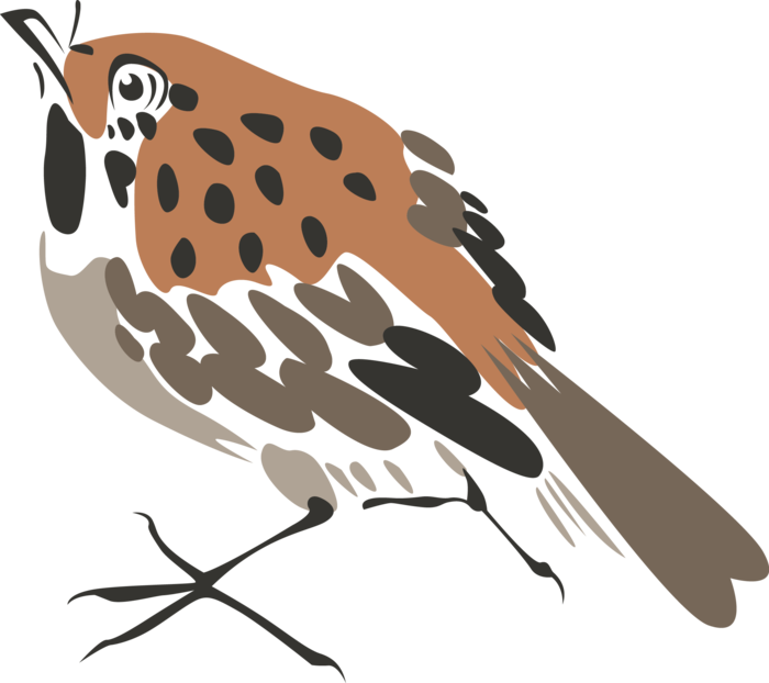 简约风手绘素描动画小鸟鸟儿免扣PNG图片素材 (84)