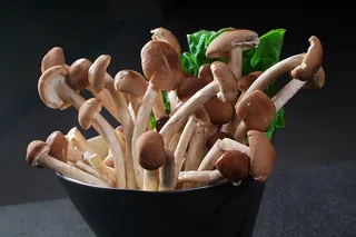 蘑菇香菇金针菇杂菇菌类美食素菜