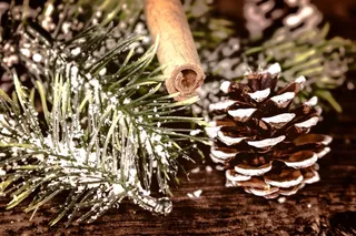 圣诞节冷杉装饰图片