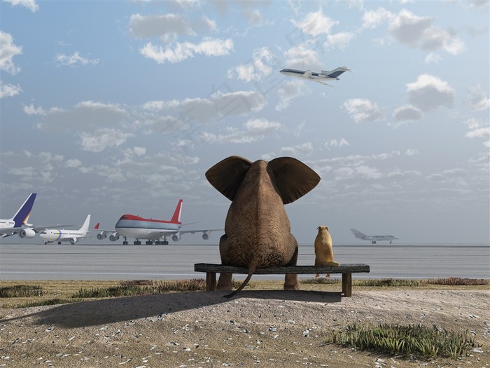 板凳上的大象和小狗背影高清图片