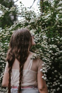 灌木花丛美女背影图片 灌木花丛美女背影图片