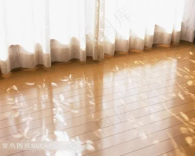 落地窗帘和地板上倒映的花纹