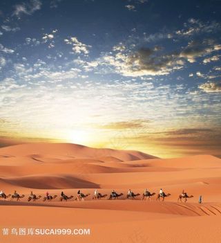沙漠中的骆驼队伍