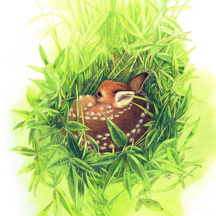 麋鹿草丛高清油画