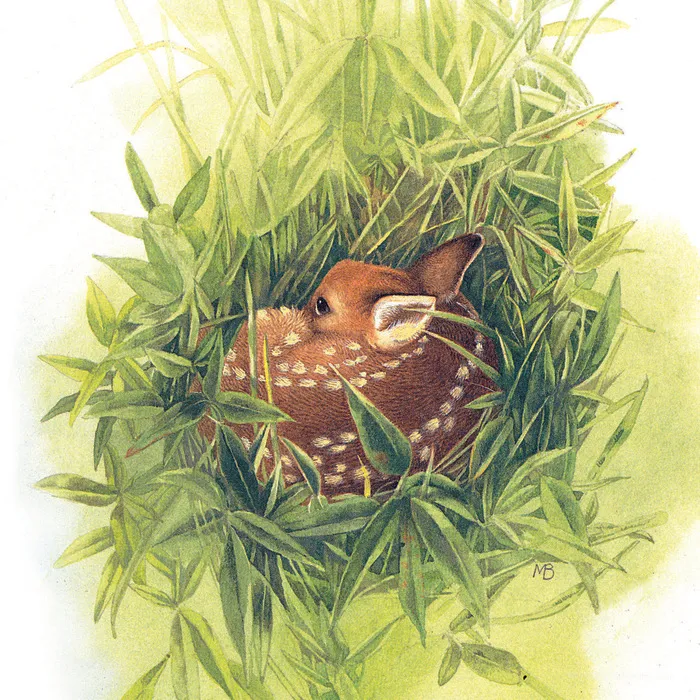 麋鹿草丛高清油画