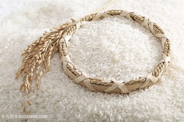 粮食大米图片