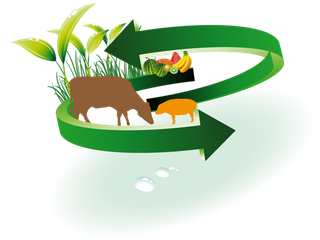 科技养殖现代农业