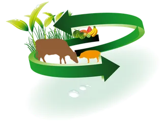 科技养殖现代农业