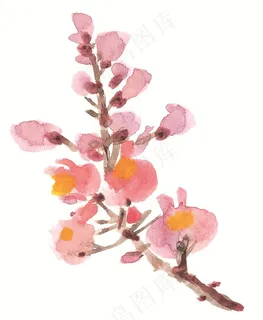 花卉美图jpg素材