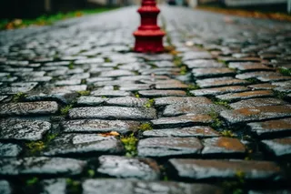 雨过后的石板路苔藓摄影图