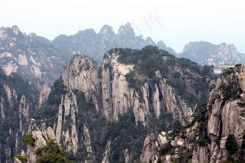 悬崖峭壁上的松树