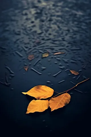 蓝色大气秋叶简约背景